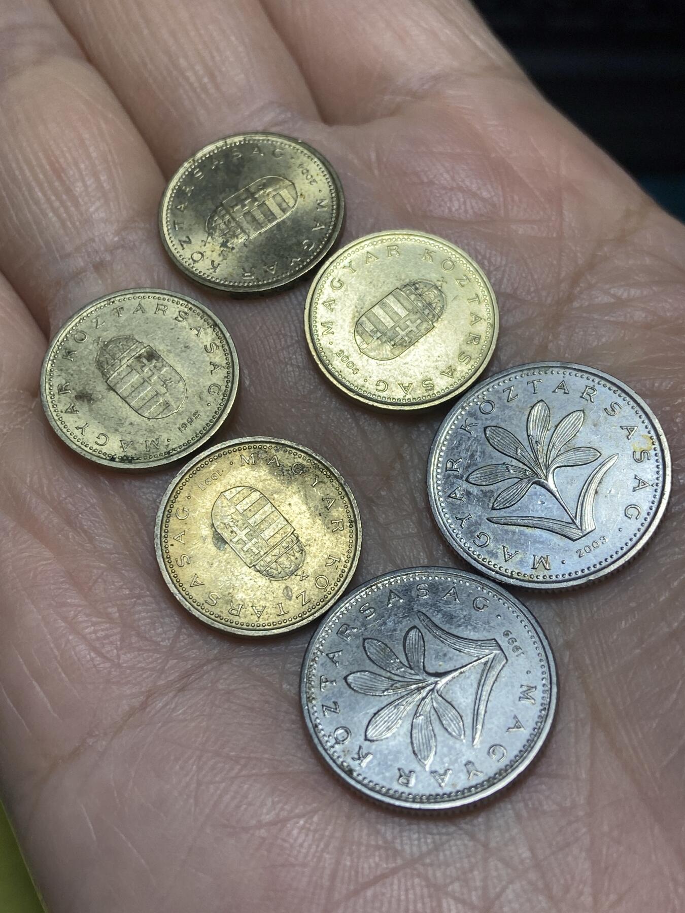 2025年第一百二十四场(总第一百五十场）外国好品散币(免佣金) 匈牙利🇭🇺6枚：1998年2004年1福林，1999年2003年2福林