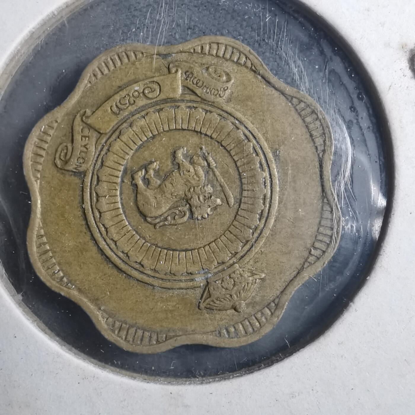 沼泽如烟--第893场