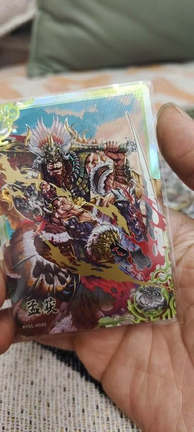 秋原瞳的小店第二十八期（持续收拍，深夜入冬的稀雨，总是静寂的……） - 卡游三国豪杰孟获