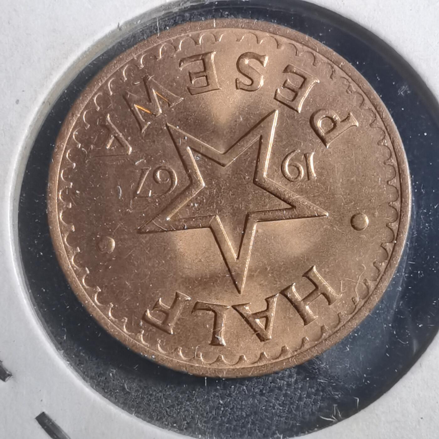 沼泽如烟--第893场