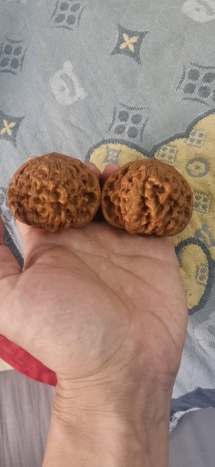 龙鼎核桃一对