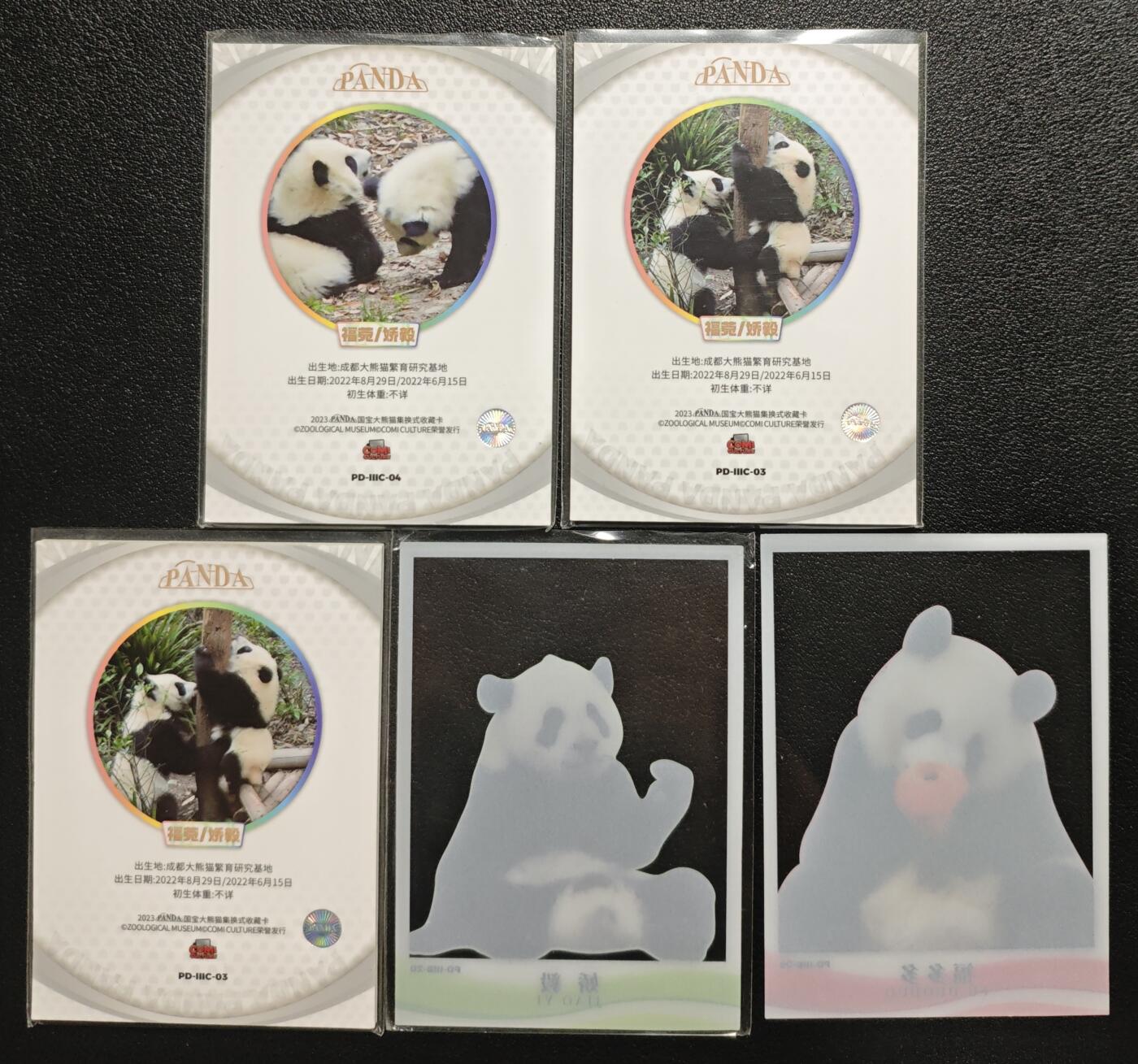 天玑星卡拍第135期《11.6周四截拍》持续收拍收评中 满赠卡需备注 国宝大熊猫集换式收藏卡 福菀/娇毅 娇毅 福多多 五张