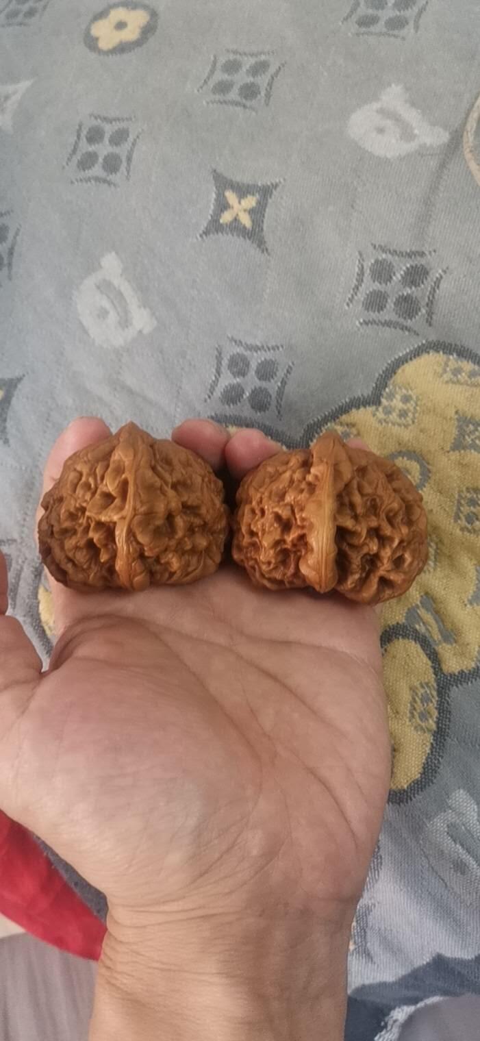 龙鼎核桃一对