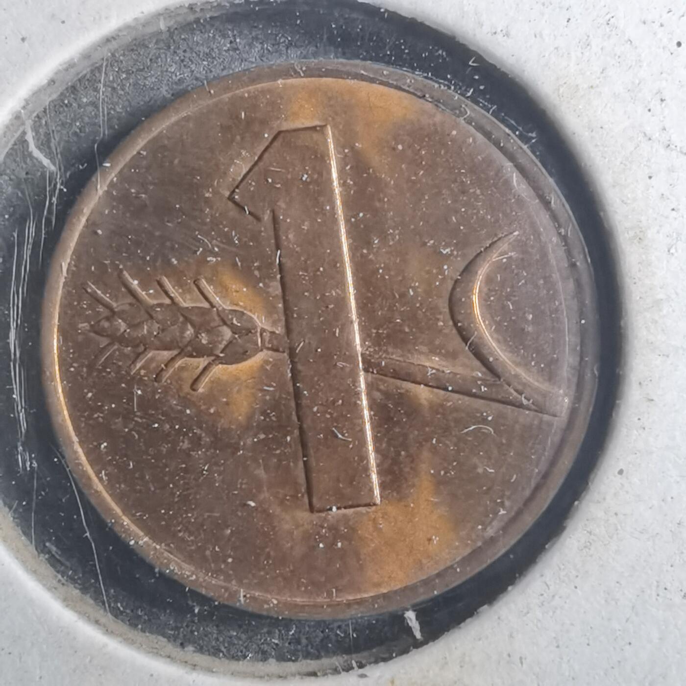 沼泽如烟--第893场