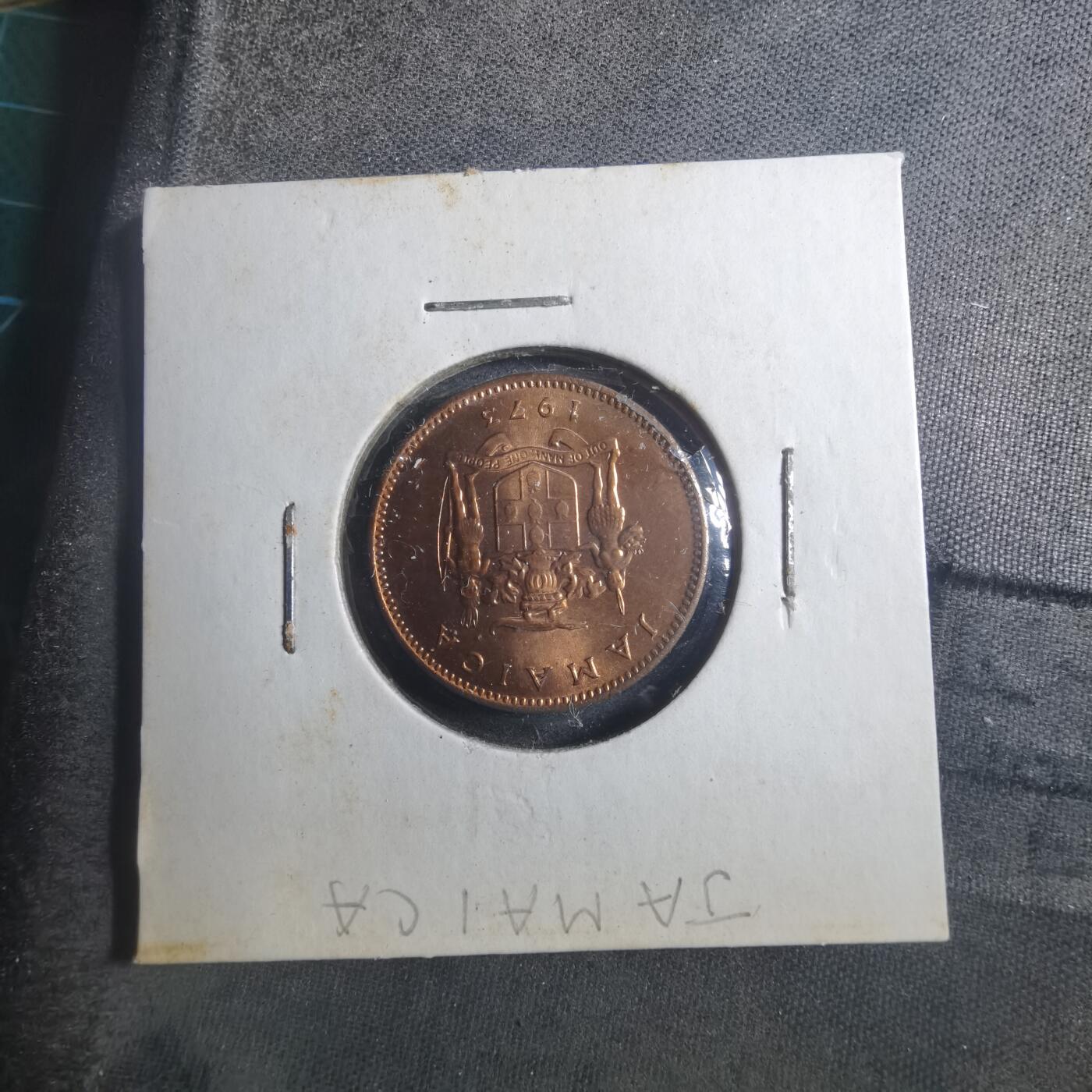 沼泽如烟--第893场