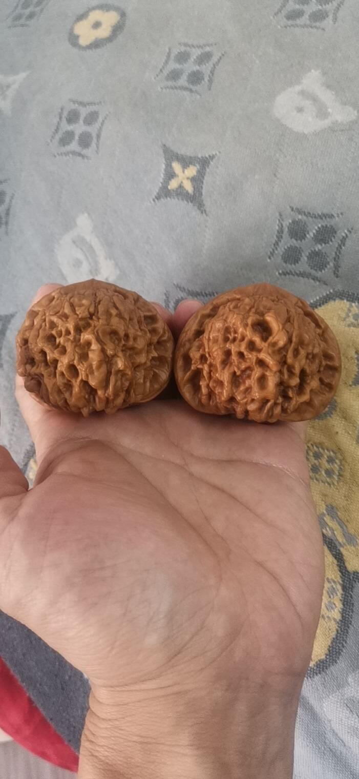 龙鼎核桃一对
