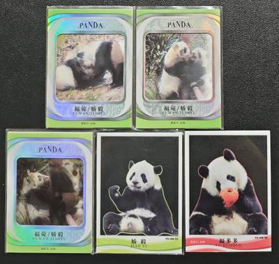 天玑星卡拍第135期《11.6周四截拍》持续收拍收评中 满赠卡需备注 - 国宝大熊猫集换式收藏卡 福菀/娇毅 娇毅 福多多 五张
