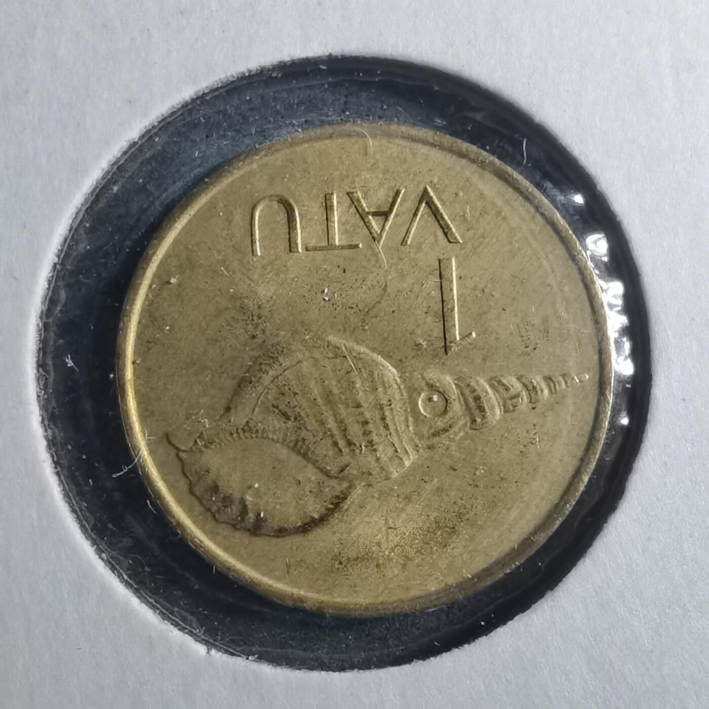 沼泽如烟--第893场