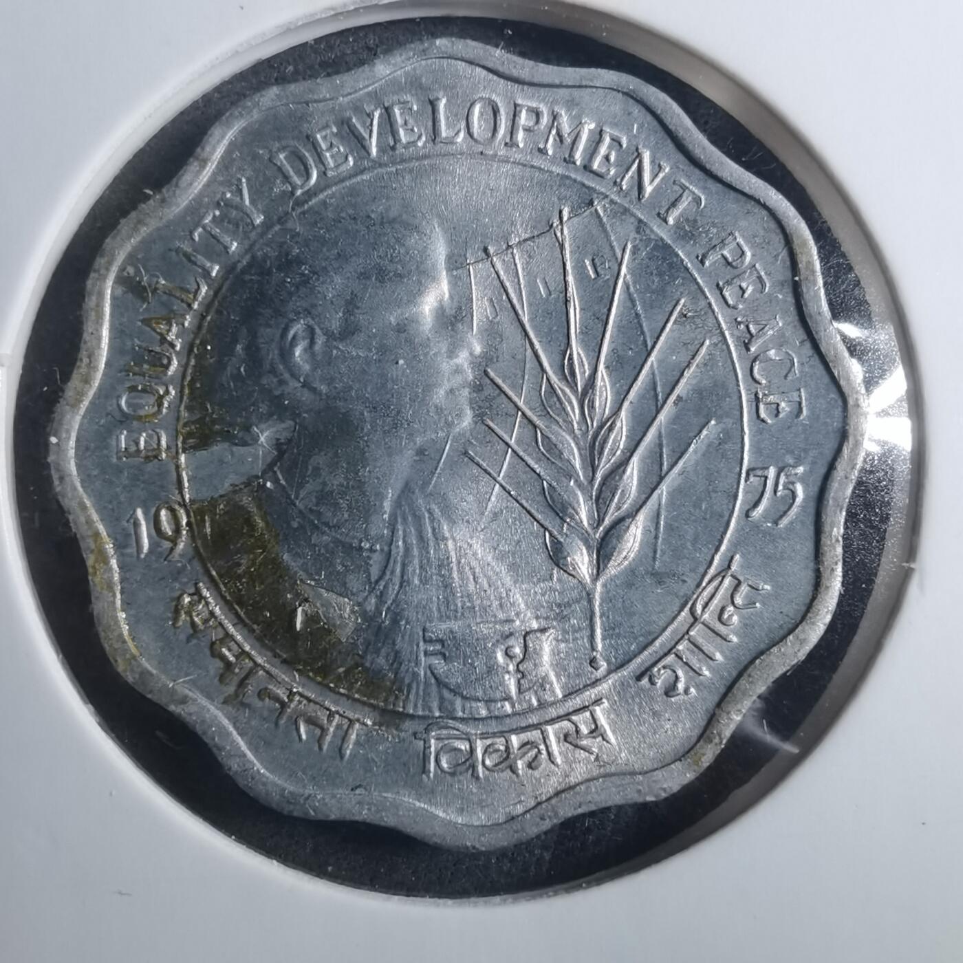 沼泽如烟--第893场