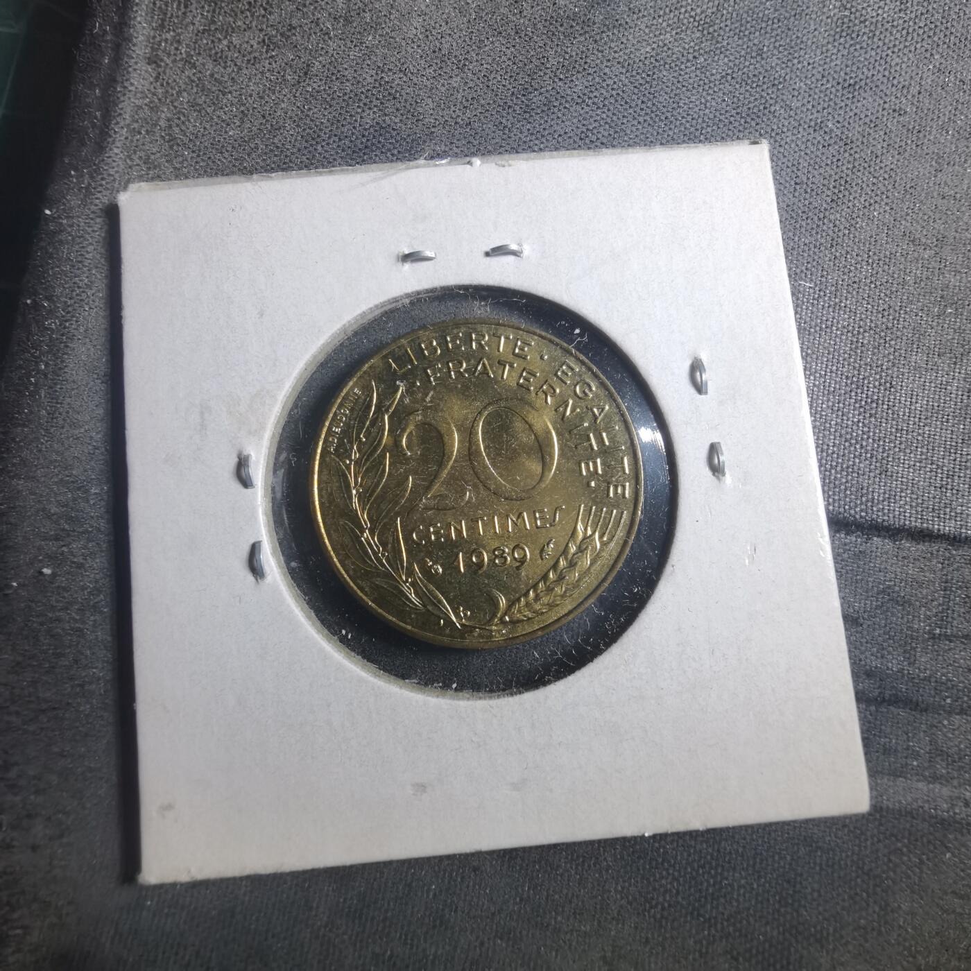 沼泽如烟--第893场