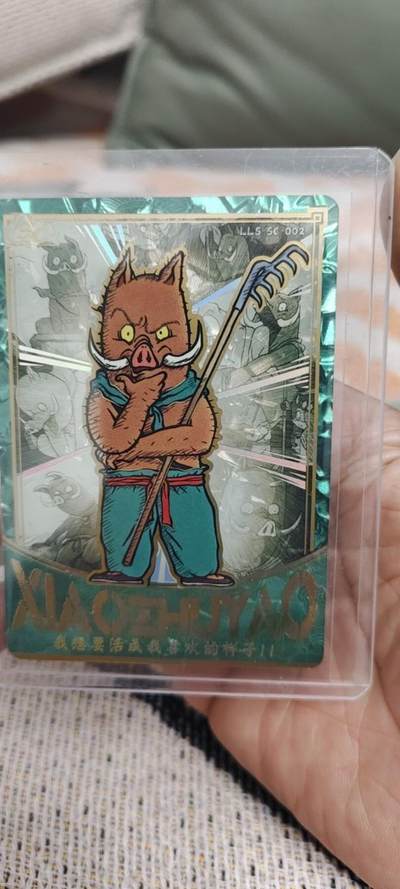 秋原瞳的小店第二十八期（持续收拍，深夜入冬的稀雨，总是静寂的……） - 卡游浪浪山sc——猪猪侠