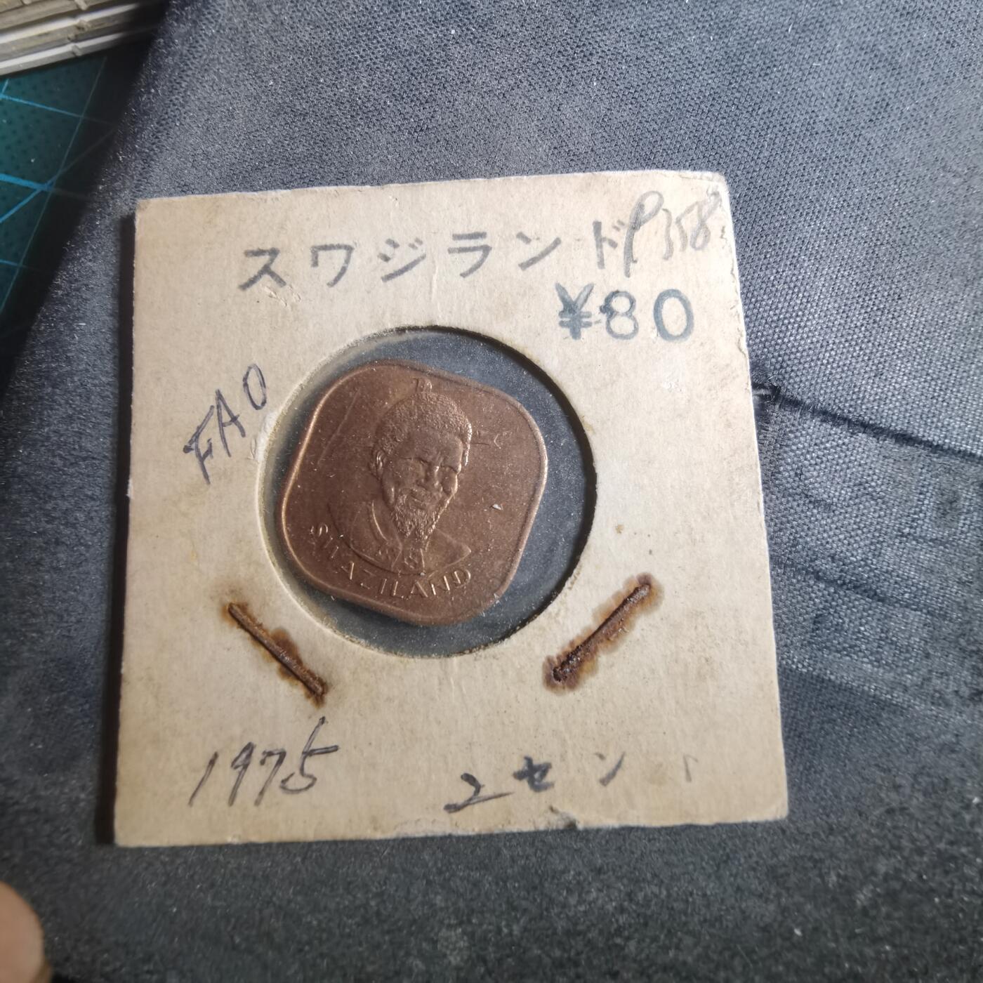 沼泽如烟--第893场