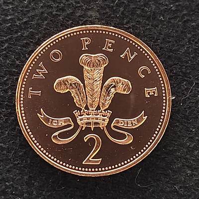 【全场包邮】纯粹捡漏拍474场（免费代拍第11场） - 英国1994年2便士