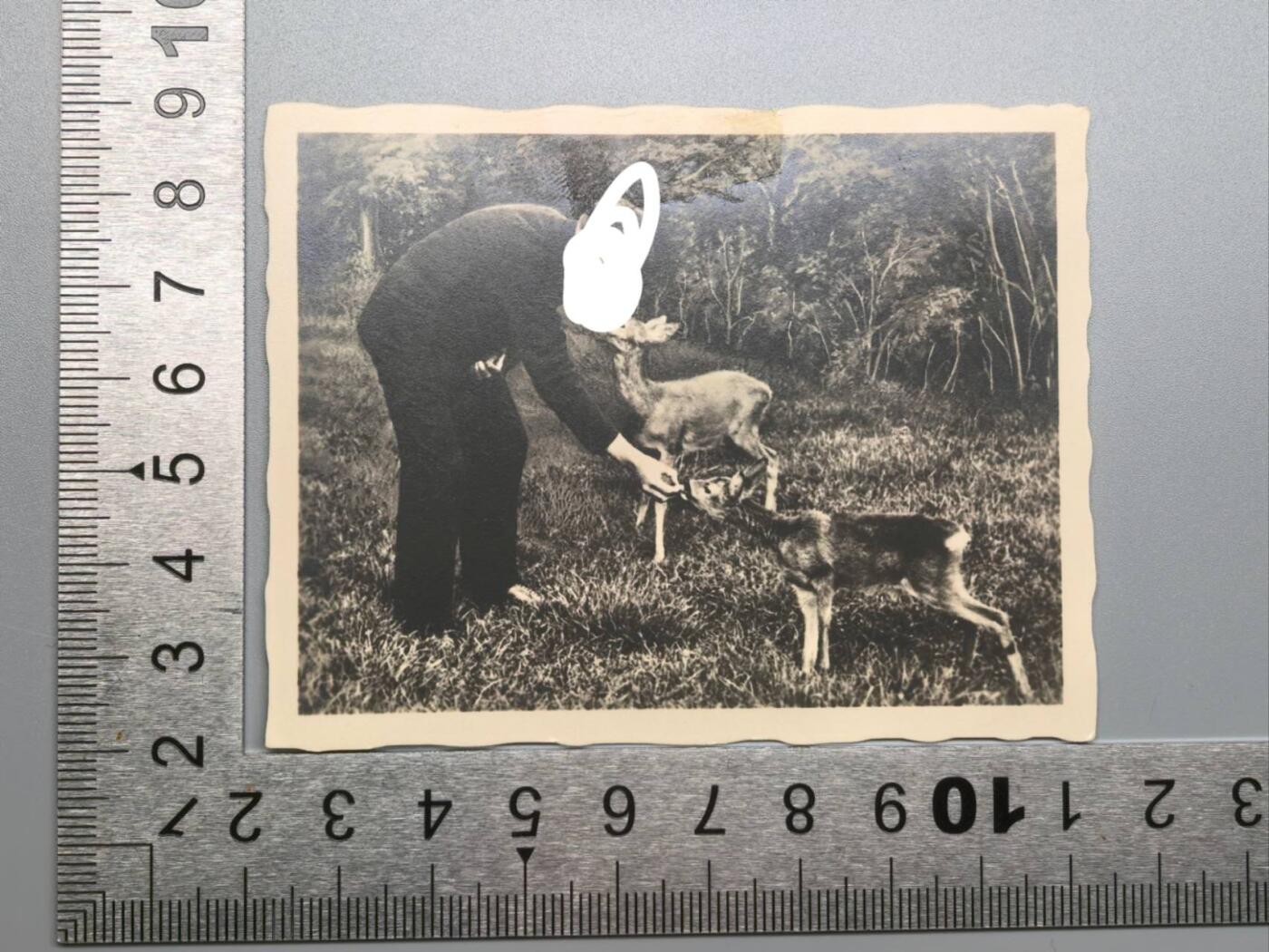 小驴勋章奖章收藏11月8日周六晚6点拍卖（珍爱和平，收藏战争，铭记历史，勿忘国耻，忠党爱国。有偿代拍，送拍规则在简介最后，参拍须阅读规则后再参拍，关系到运费包装发货时效真假辨别等关键信息，拍卖时不再发原图，看大图店主微信码在最后拍品里）