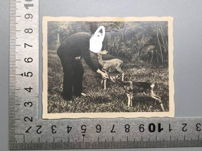 小驴勋章奖章收藏11月8日周六晚6点拍卖（珍爱和平，收藏战争，铭记历史，勿忘国耻，忠党爱国。有偿代拍，送拍规则在简介最后，参拍须阅读规则后再参拍，关系到运费包装发货时效真假辨别等关键信息，拍卖时不再发原图，看大图店主微信码在最后拍品里） - 一个会画画的老人在喂小鹿，霍夫曼拍摄，收藏级相片，和普通流通照片价值不在一个数量级上