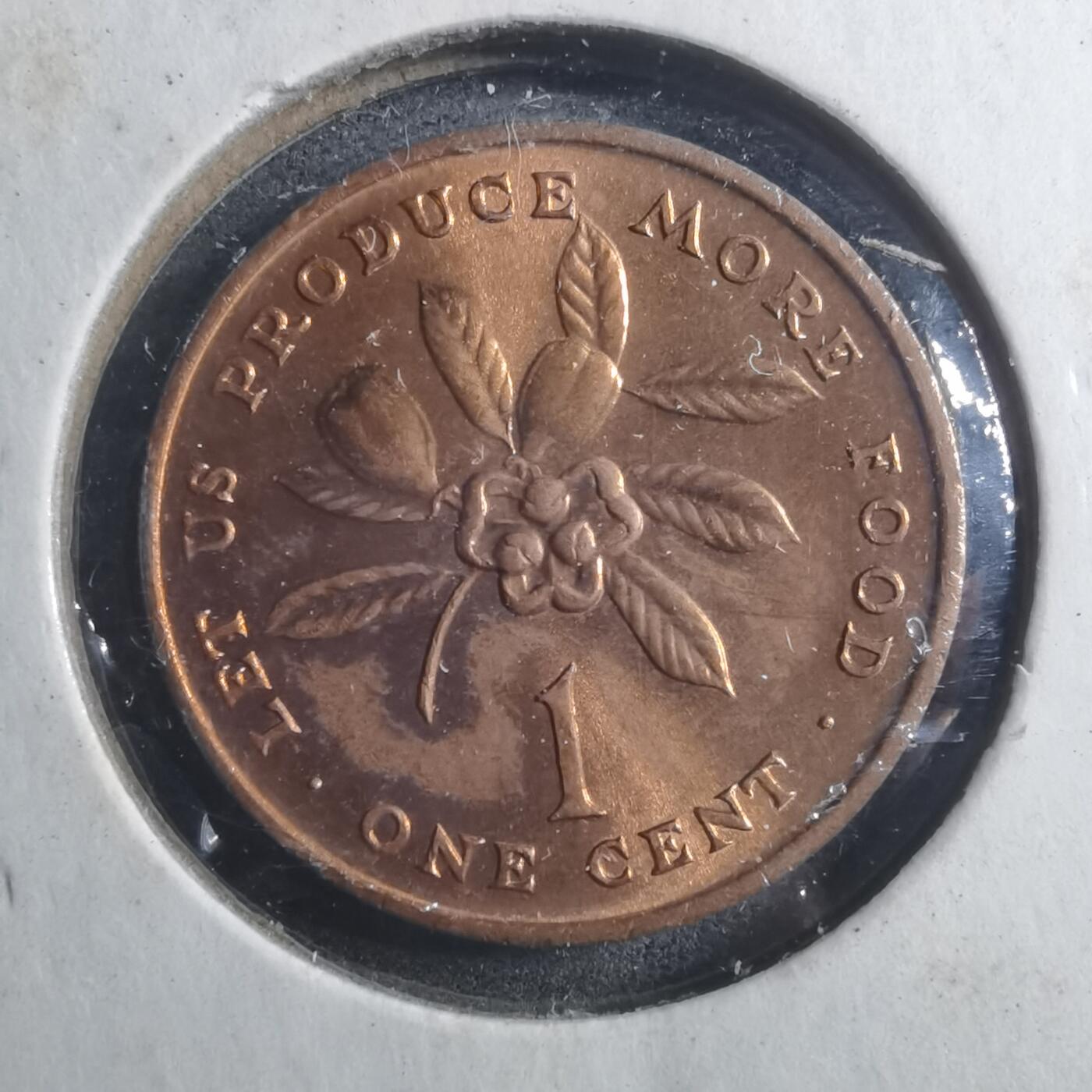 沼泽如烟--第893场