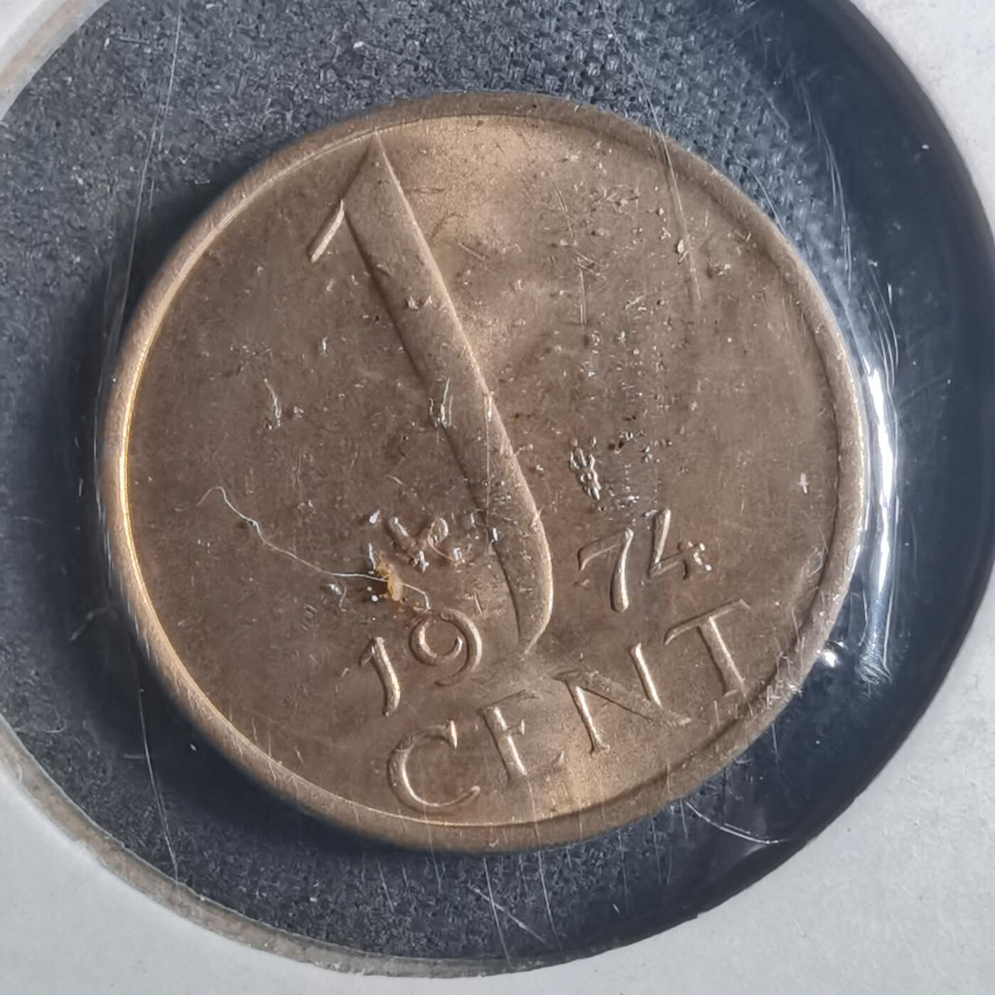 沼泽如烟--第893场