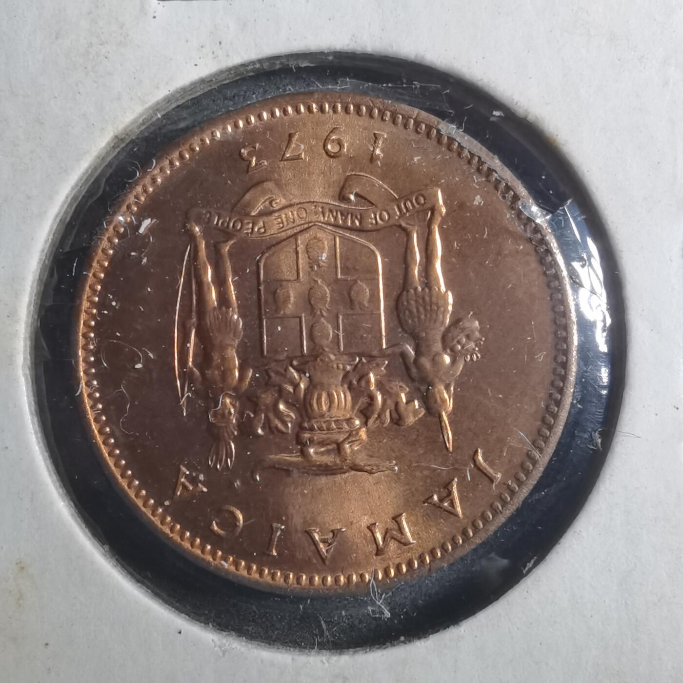 沼泽如烟--第893场