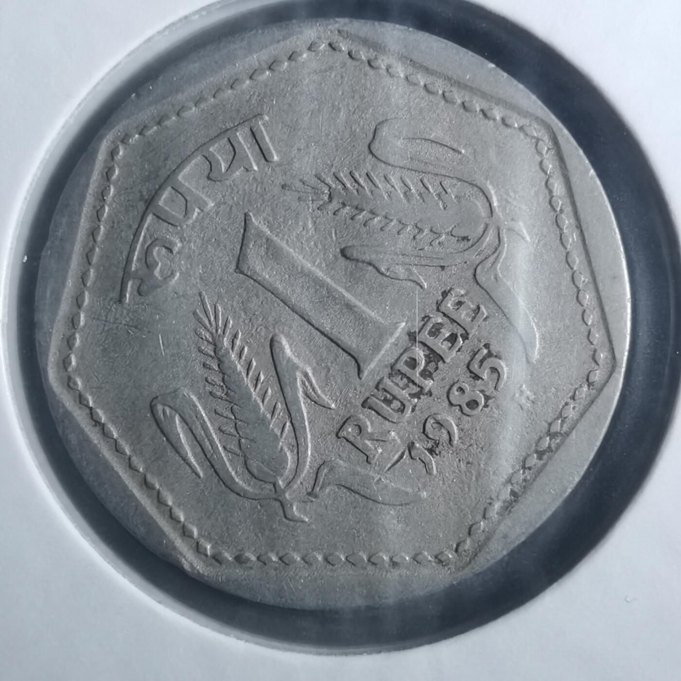 沼泽如烟--第893场