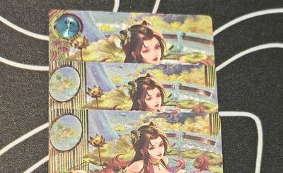 老板带我见世面，我给老板好拍场，零佣金收拍，不寄存 - 卡玩帕克百花谱冯小怜粗闪工艺三服饰