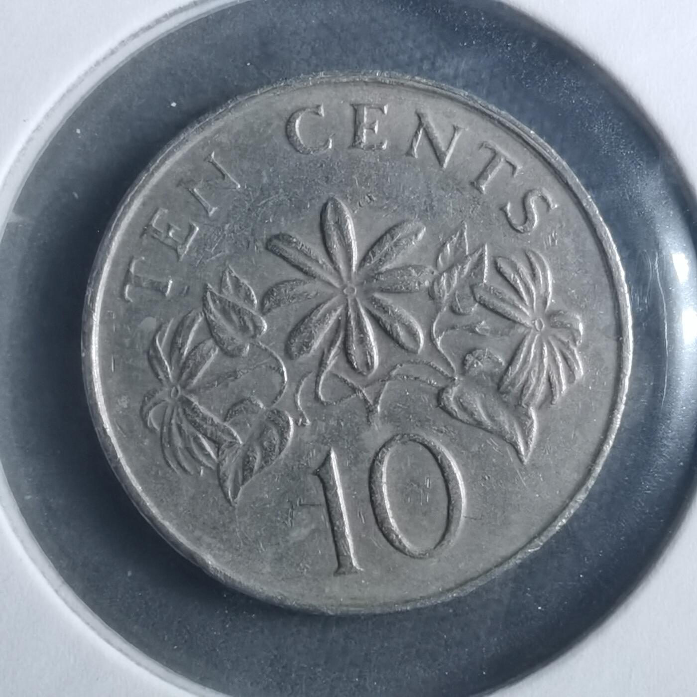 沼泽如烟--第893场