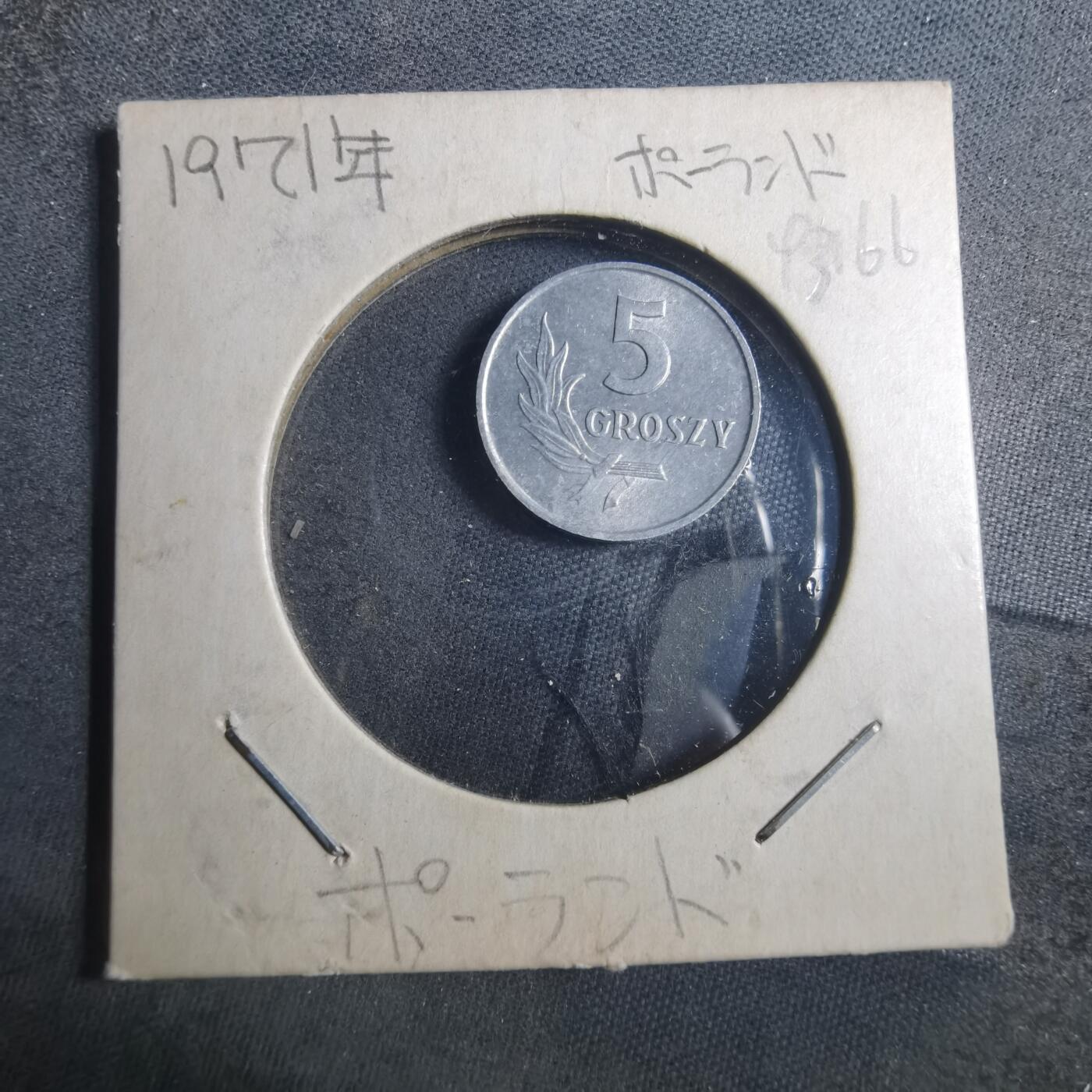 沼泽如烟--第893场