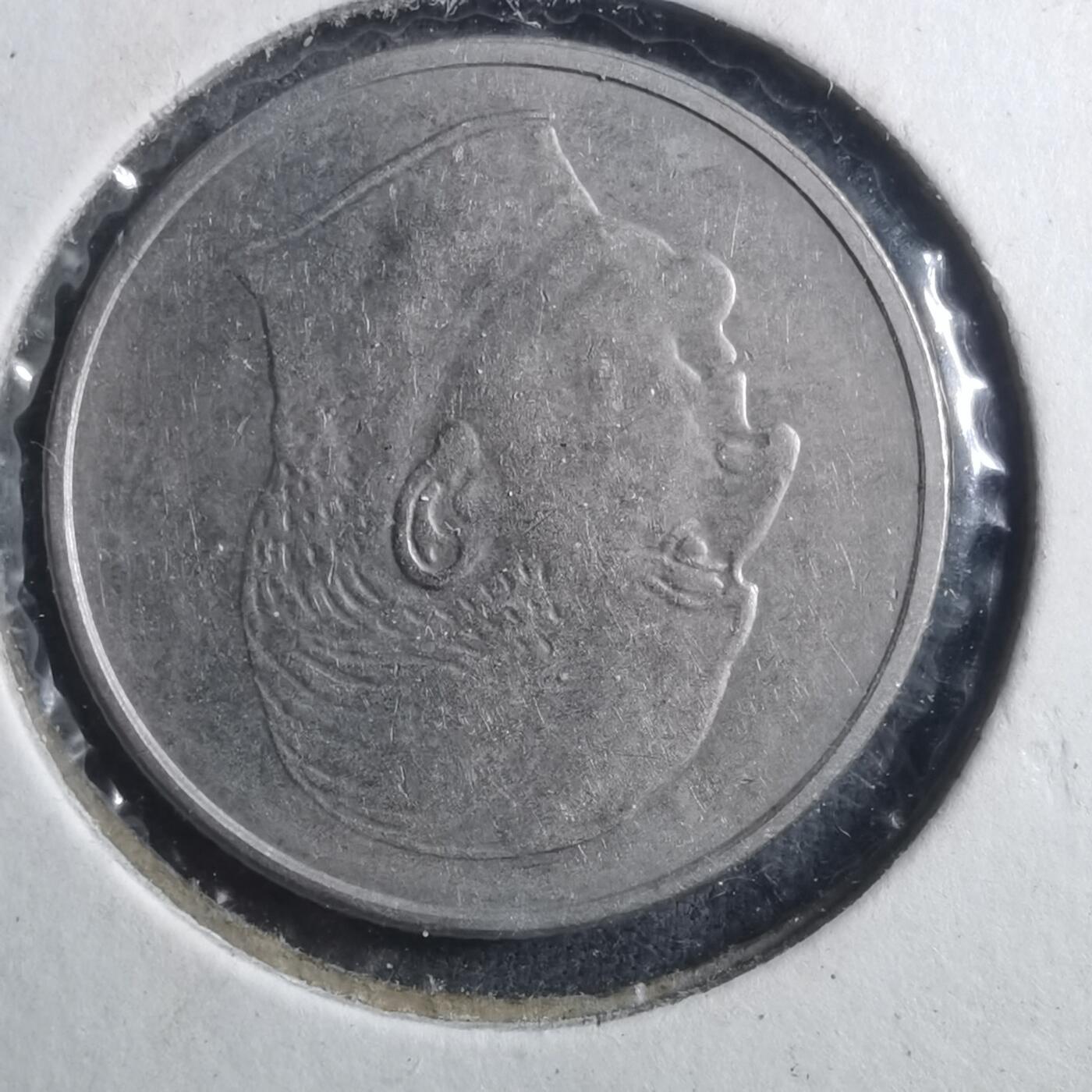 沼泽如烟--第893场