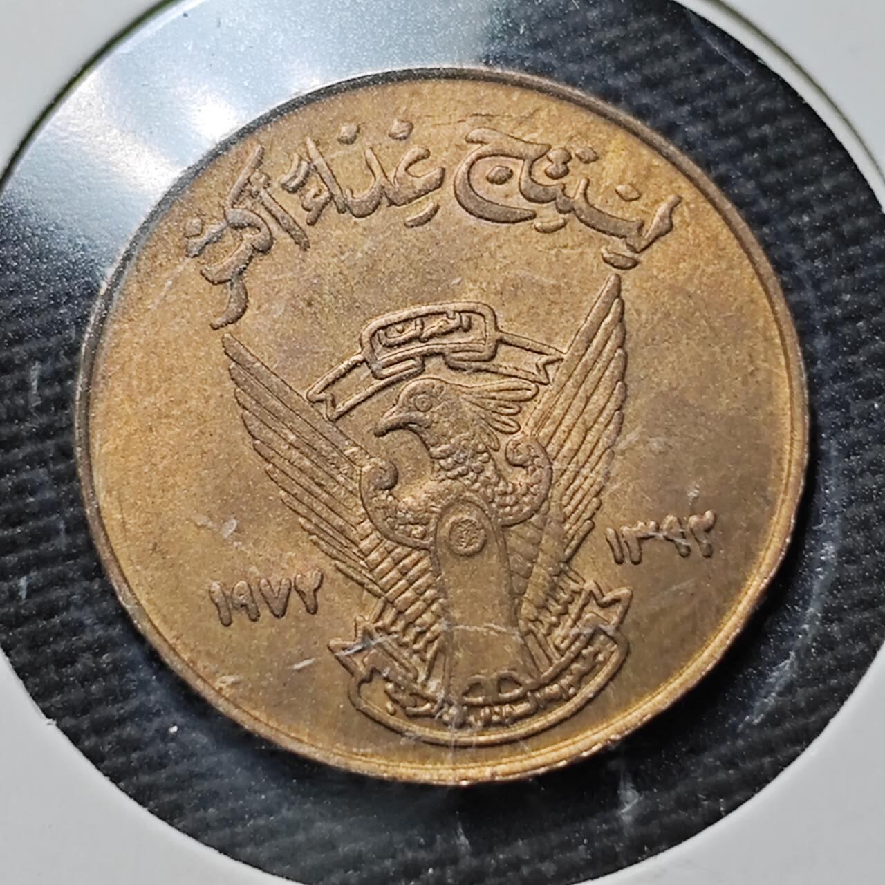 KK钱币收藏小铺  第365场  2月预留时间 周末发货  