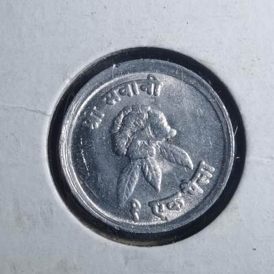 沼泽如烟--第893场 - 尼泊尔