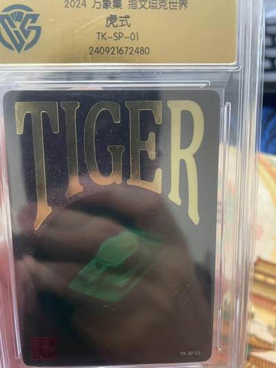 寸草不生拍卖会 第十三期 （ 持续收拍中） - 2024 万象集 指文坦克世界
虎式
TK-SP-01 非常nb