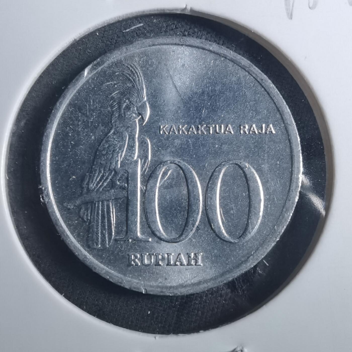 沼泽如烟--第893场