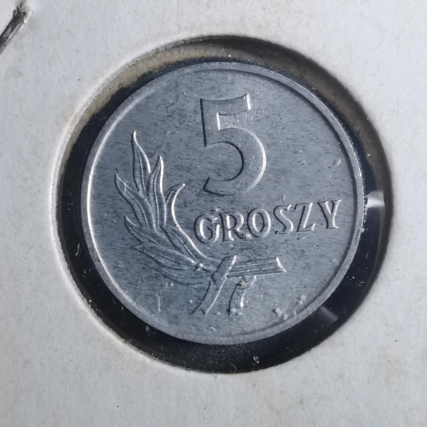 沼泽如烟--第893场