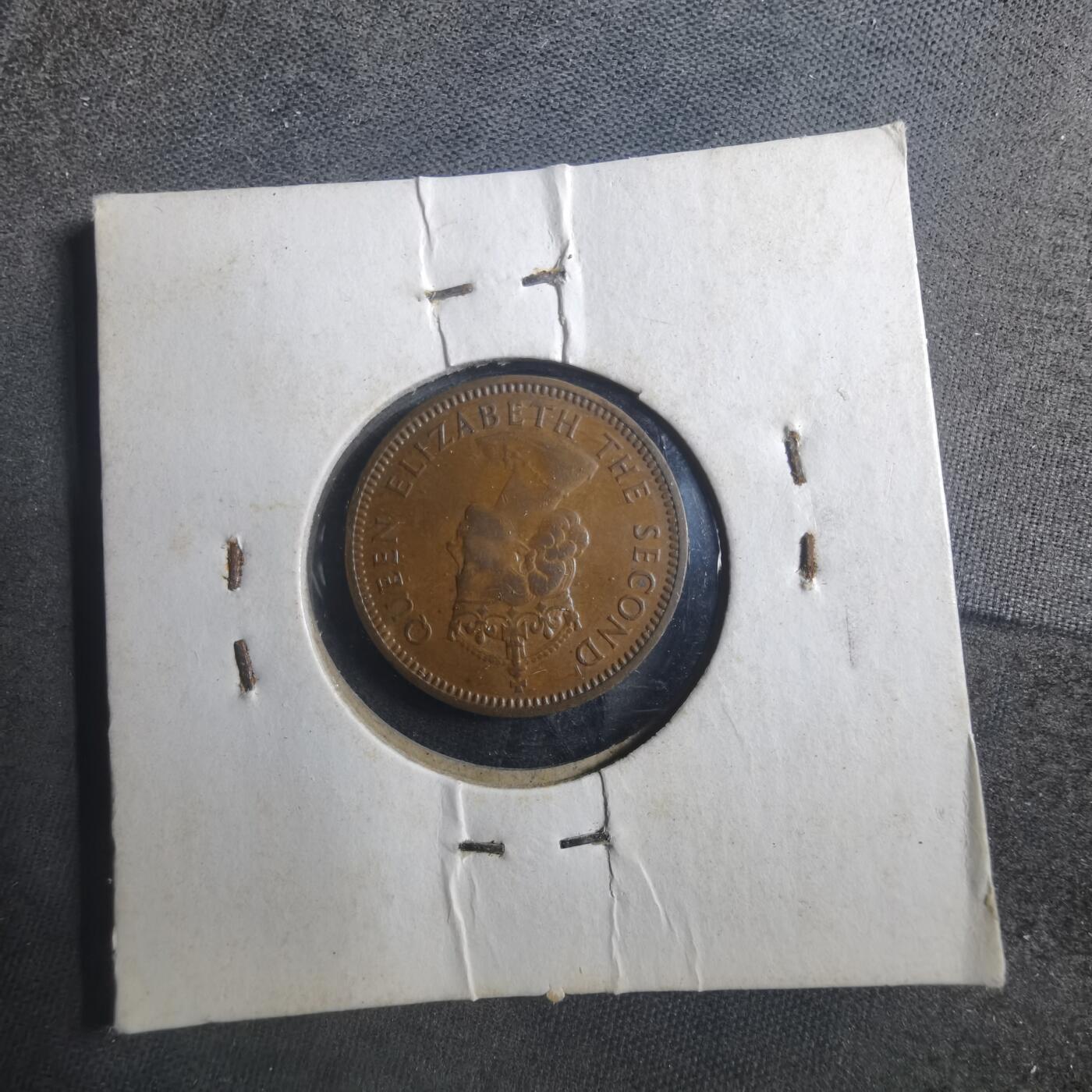 沼泽如烟--第893场