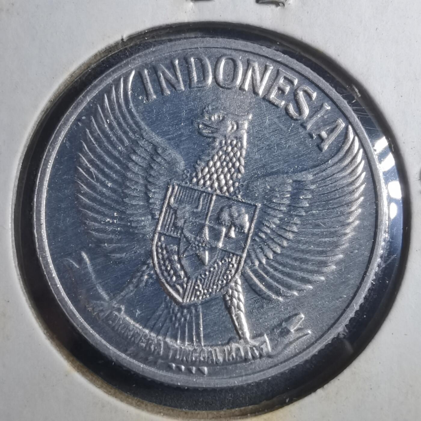 沼泽如烟--第893场