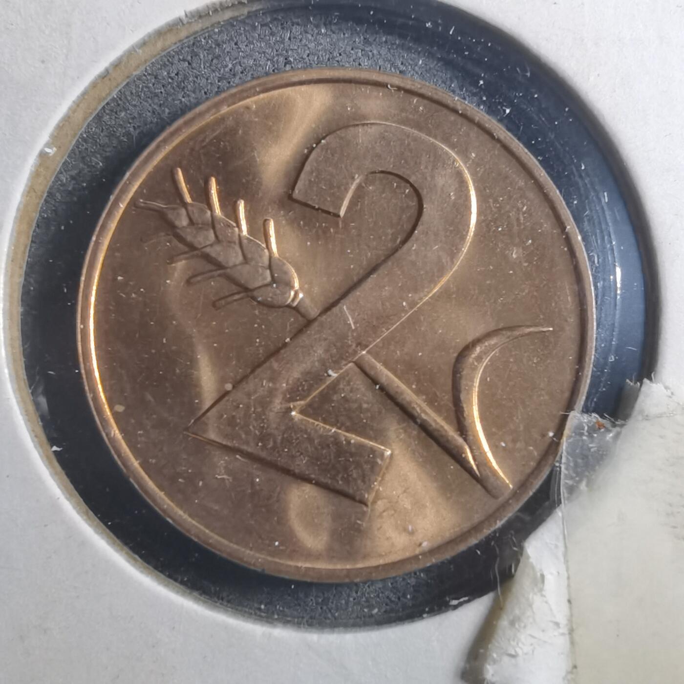 沼泽如烟--第893场