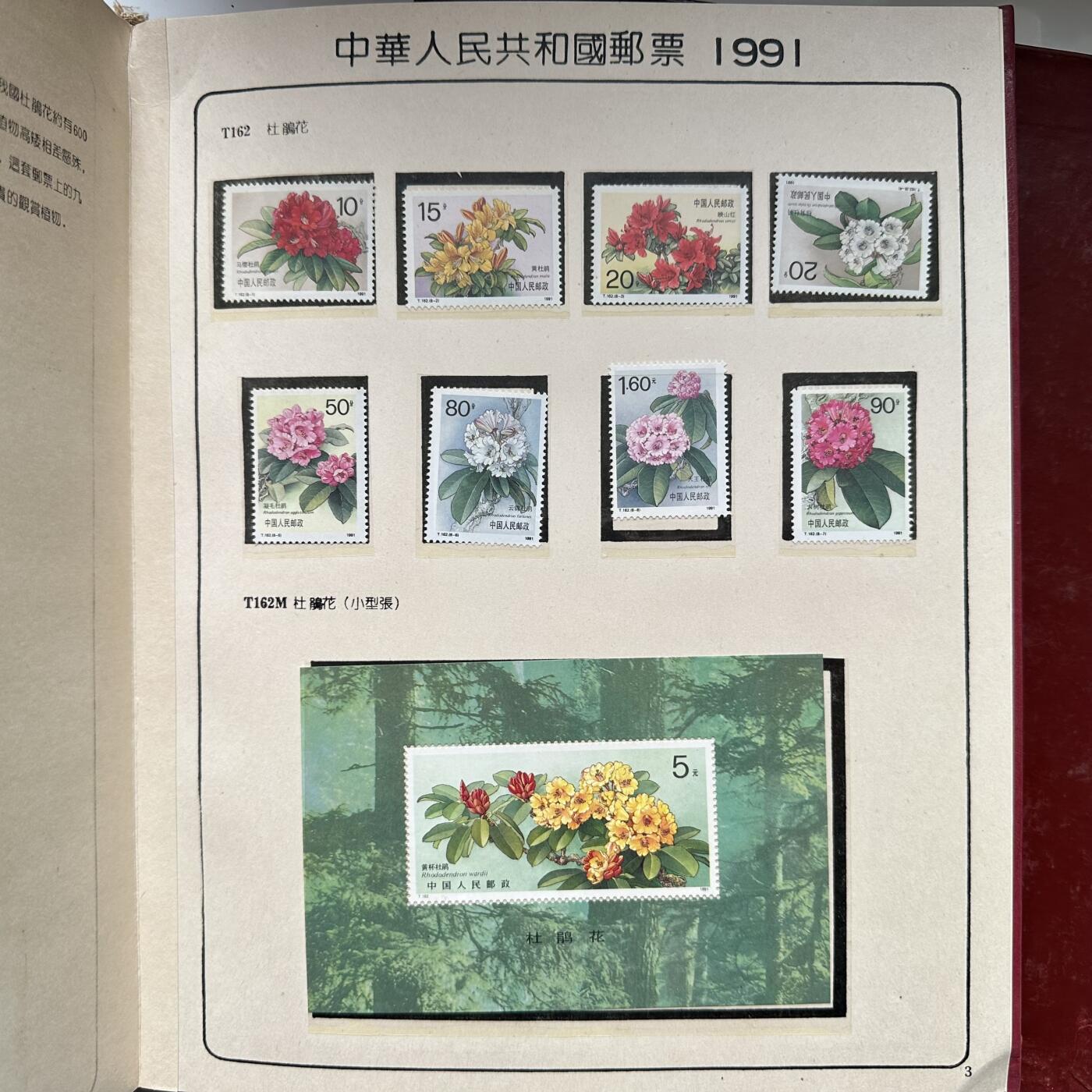 🌹外币初藏🌹🐯2025年第125场  每周二四六晚8️⃣点 接代拍