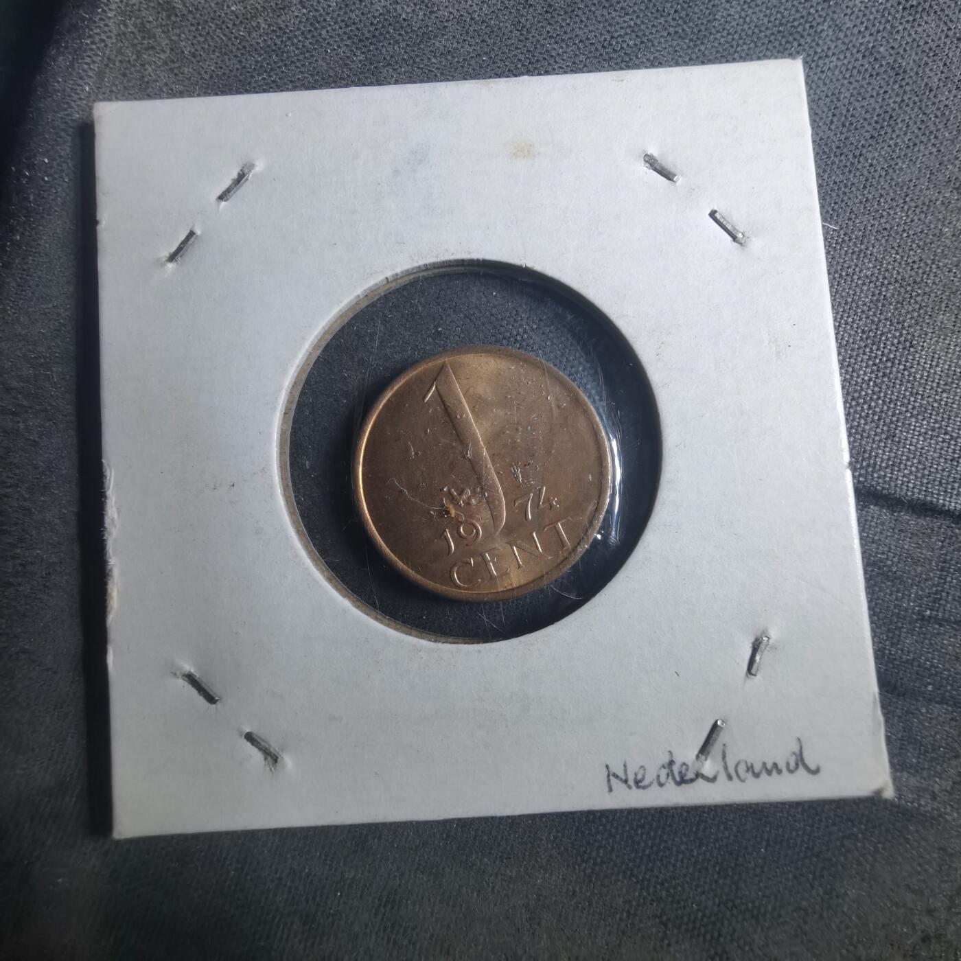 沼泽如烟--第893场