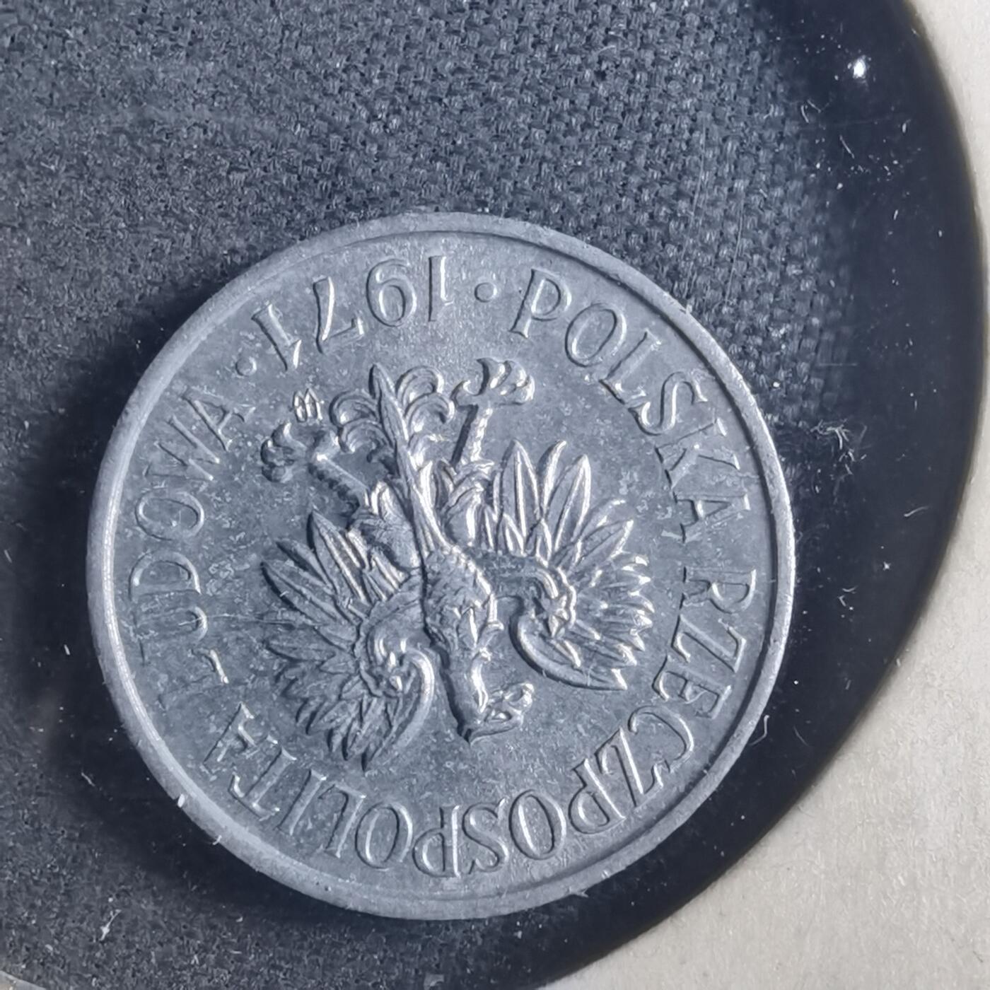 沼泽如烟--第893场