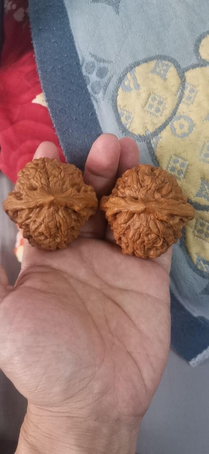 龙鼎核桃一对