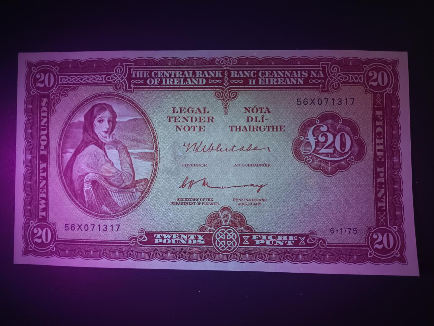 2025十一月第二期，总第200期