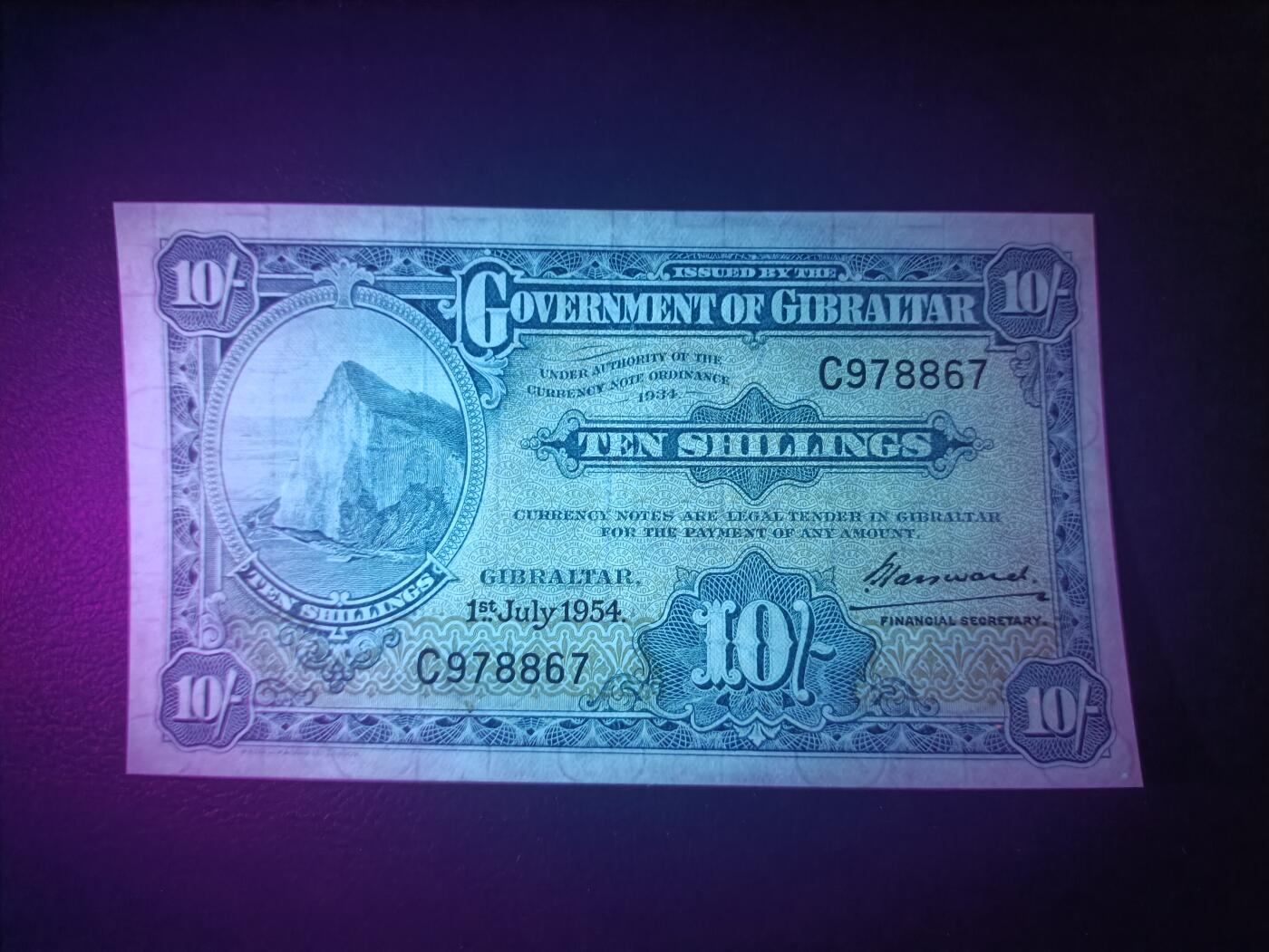 2025十一月第二期，总第200期