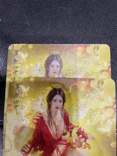 寸草不生拍卖会 第十三期 （ 持续收拍中） - 燎原卡牌 ST-Brush 老师 刷子老师作品 幻彩双服饰 -羊献容