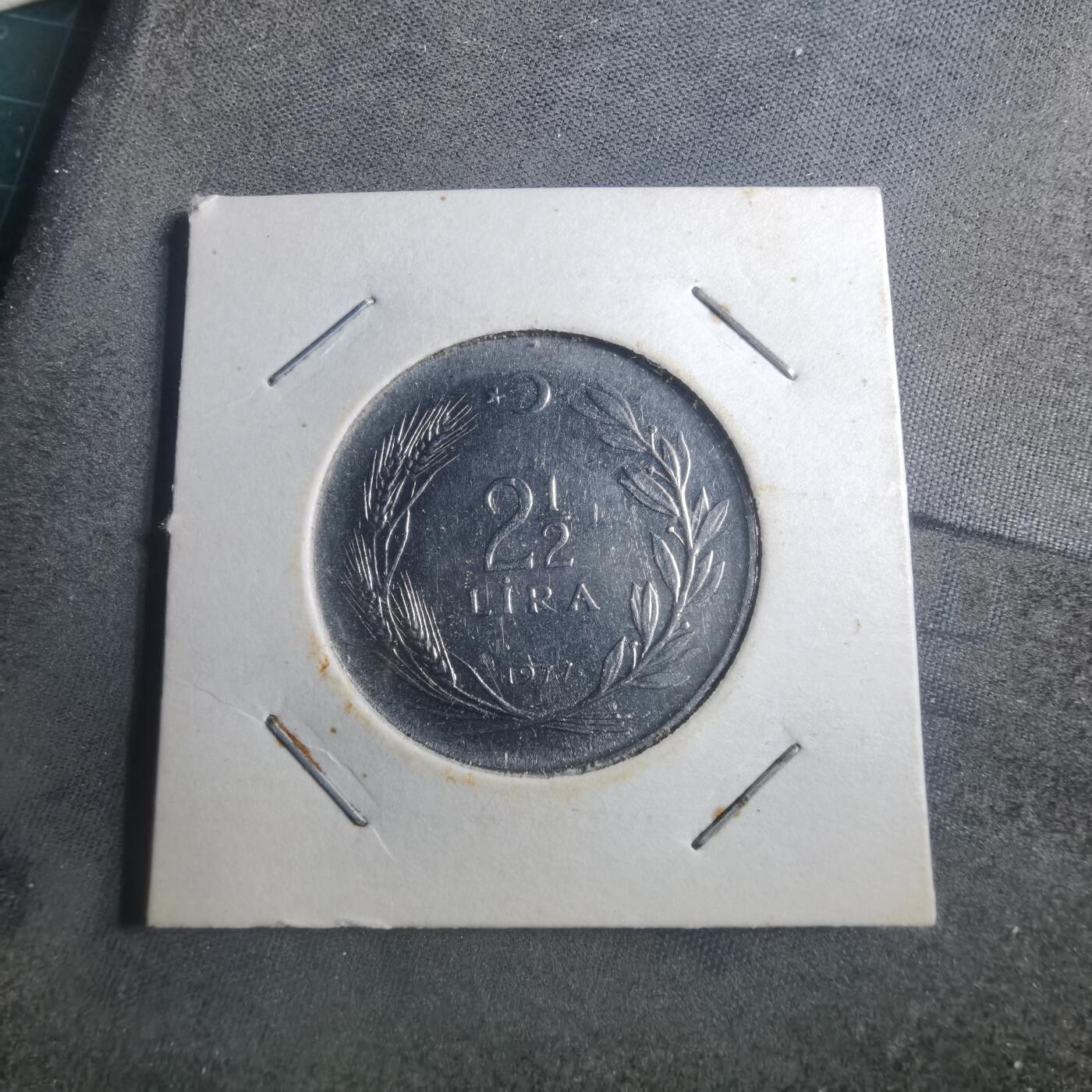 沼泽如烟--第893场