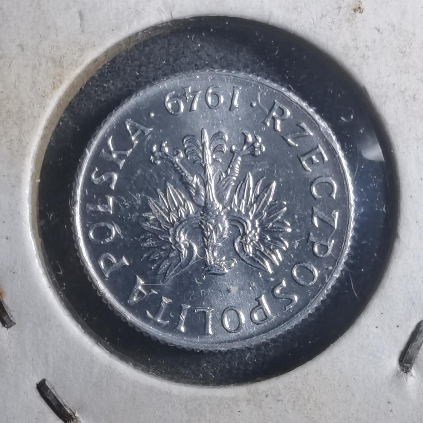 沼泽如烟--第893场