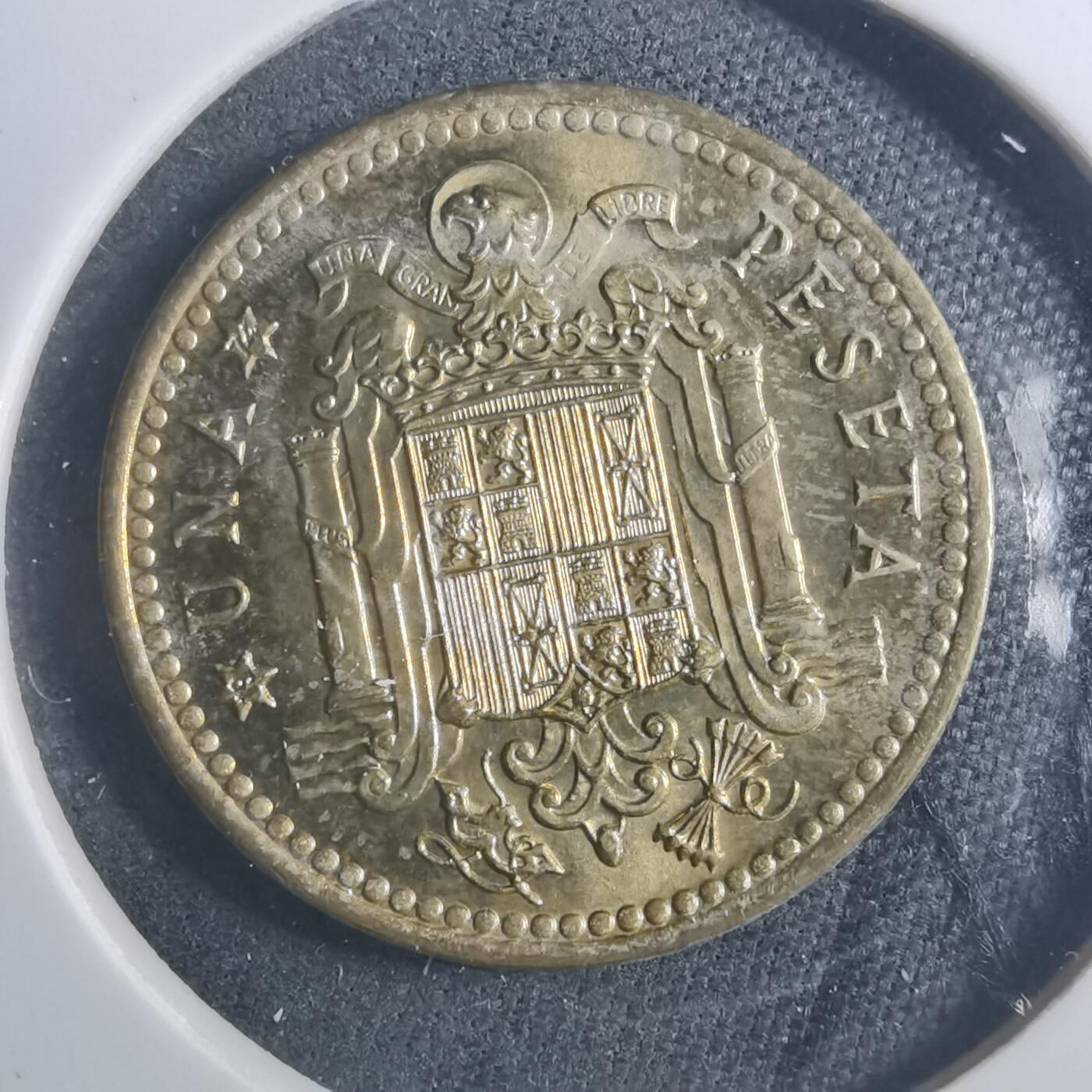 沼泽如烟--第893场