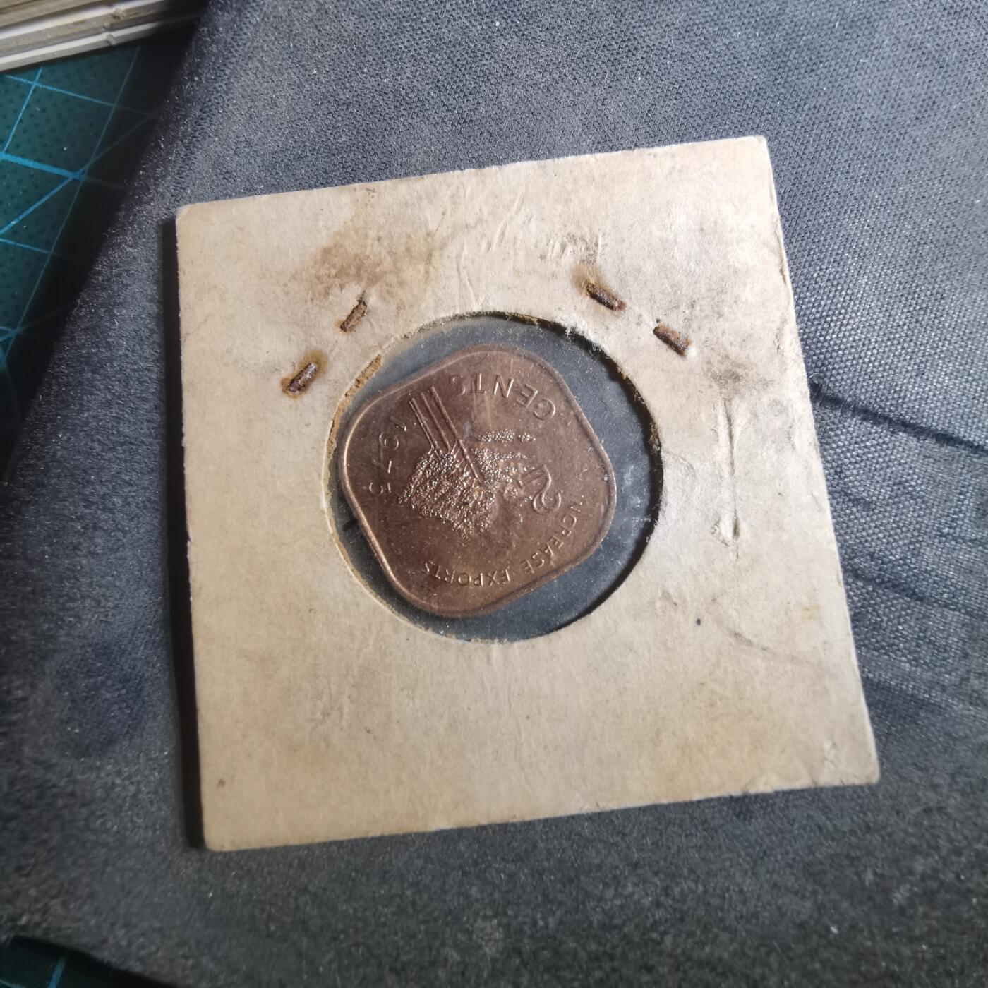 沼泽如烟--第893场