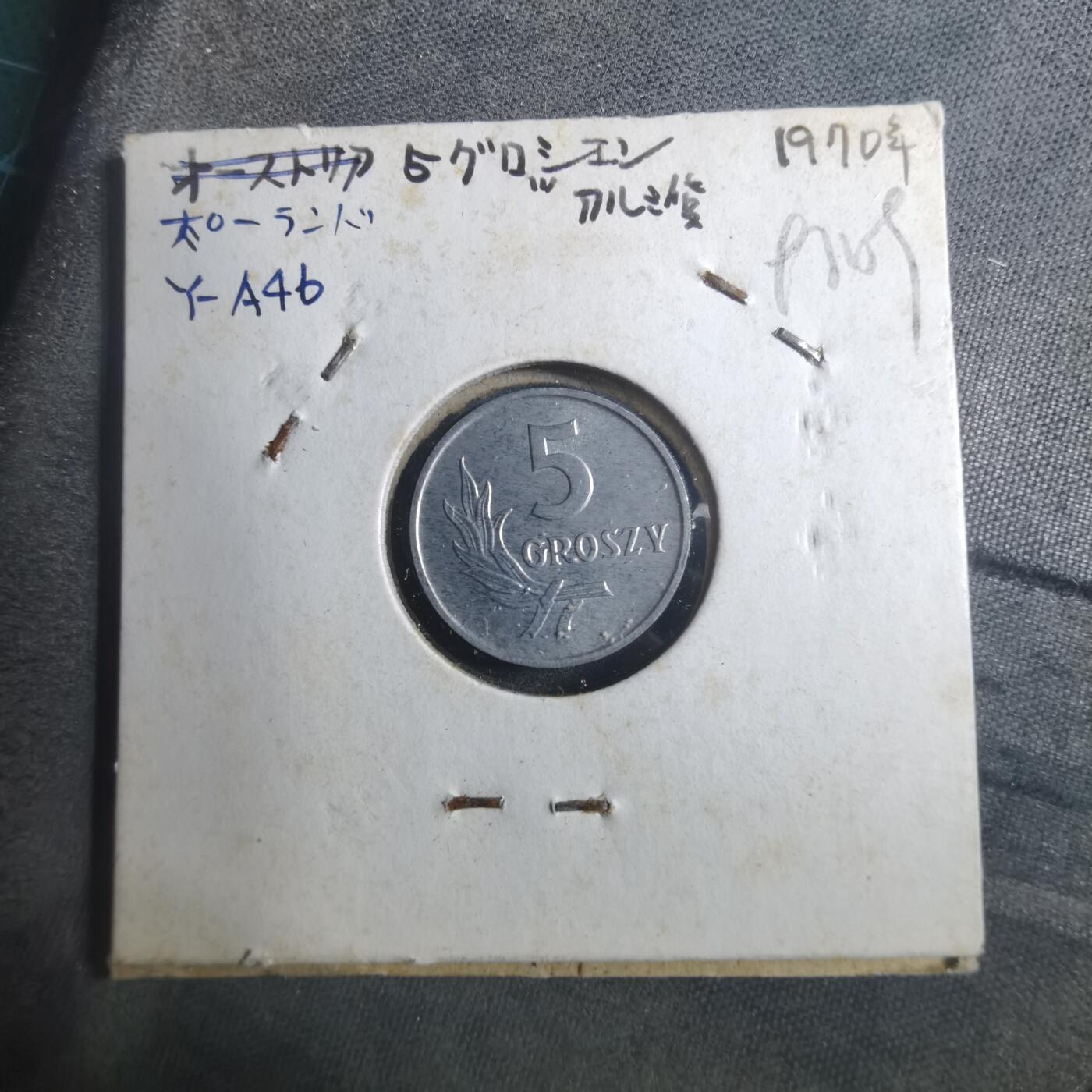 沼泽如烟--第893场