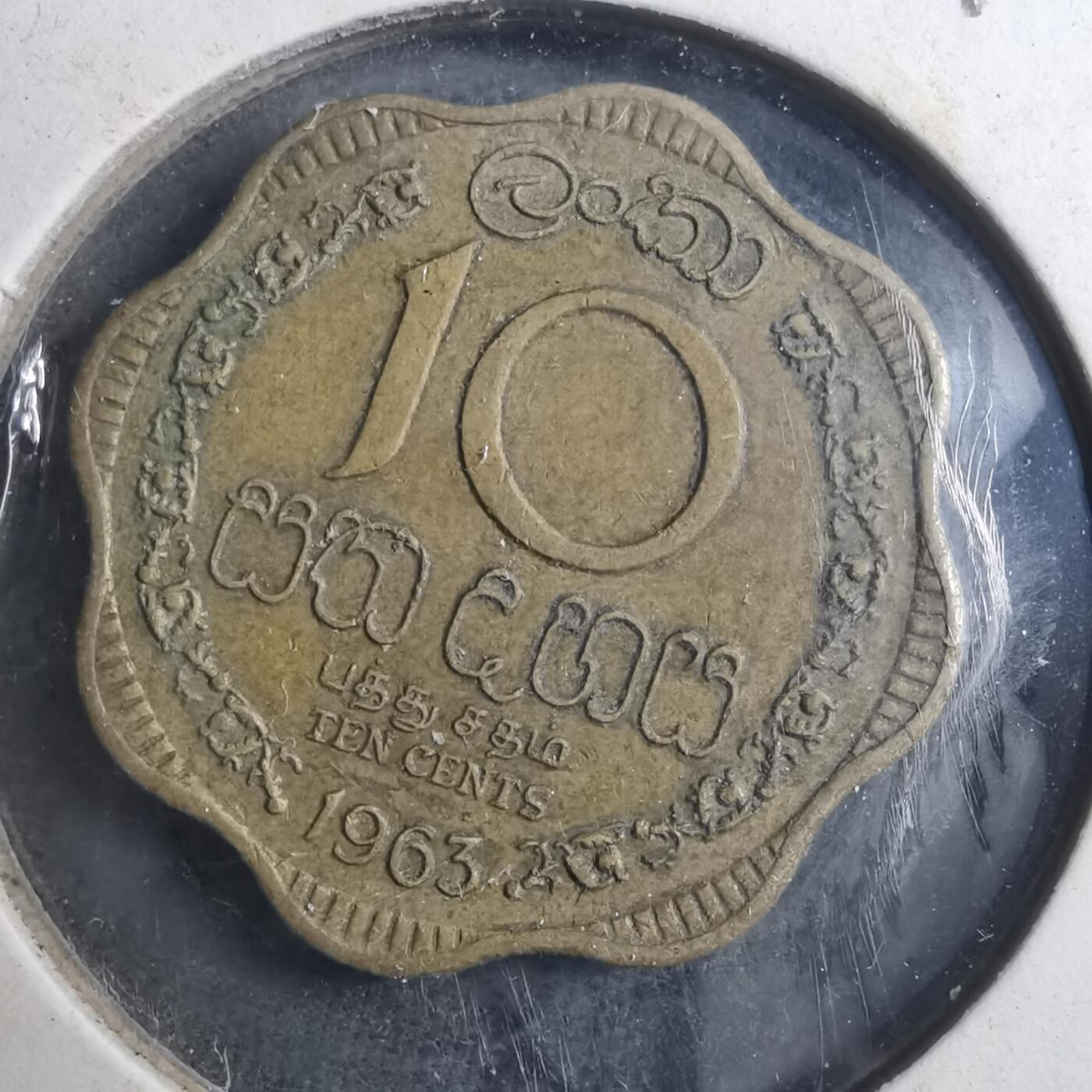 沼泽如烟--第893场