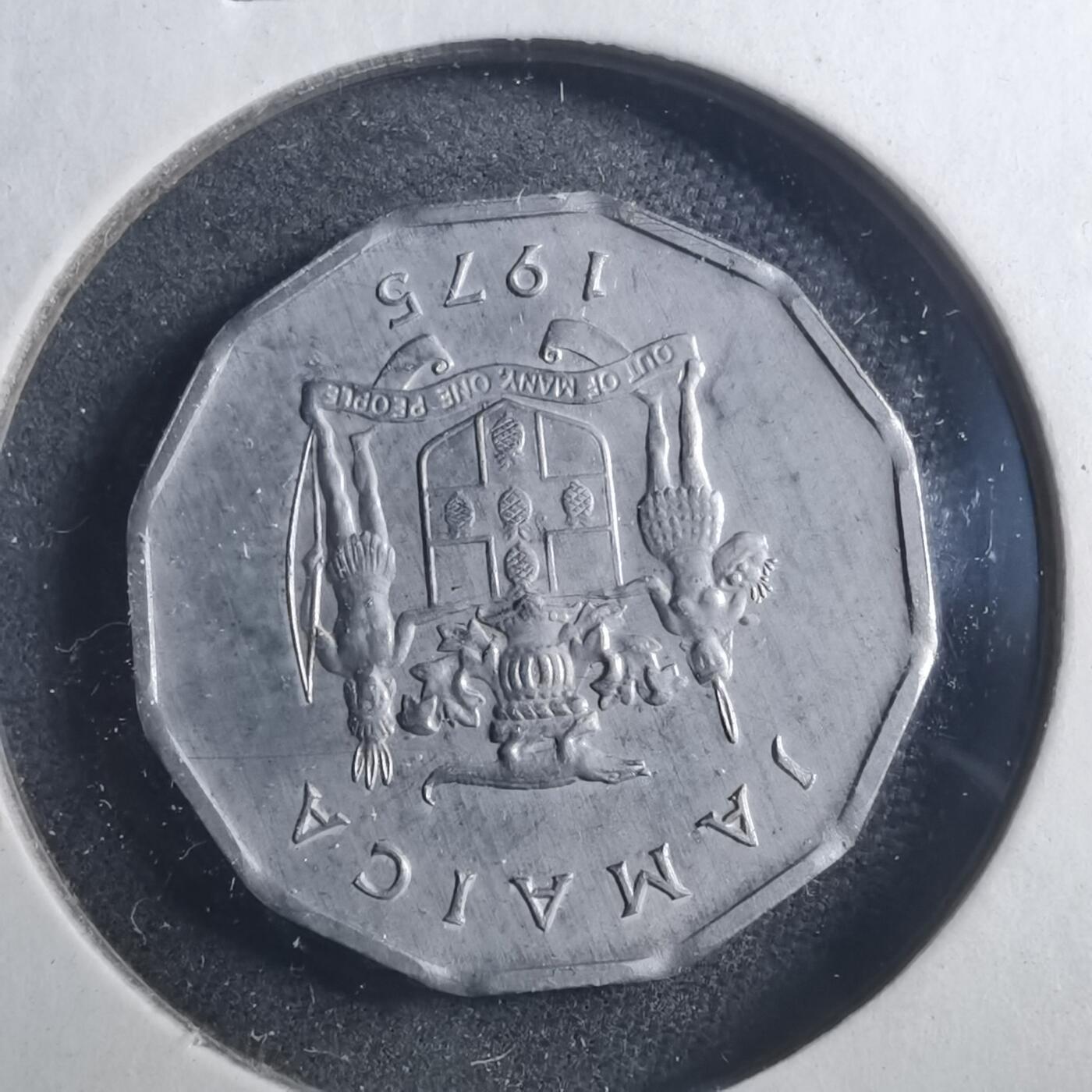 沼泽如烟--第893场