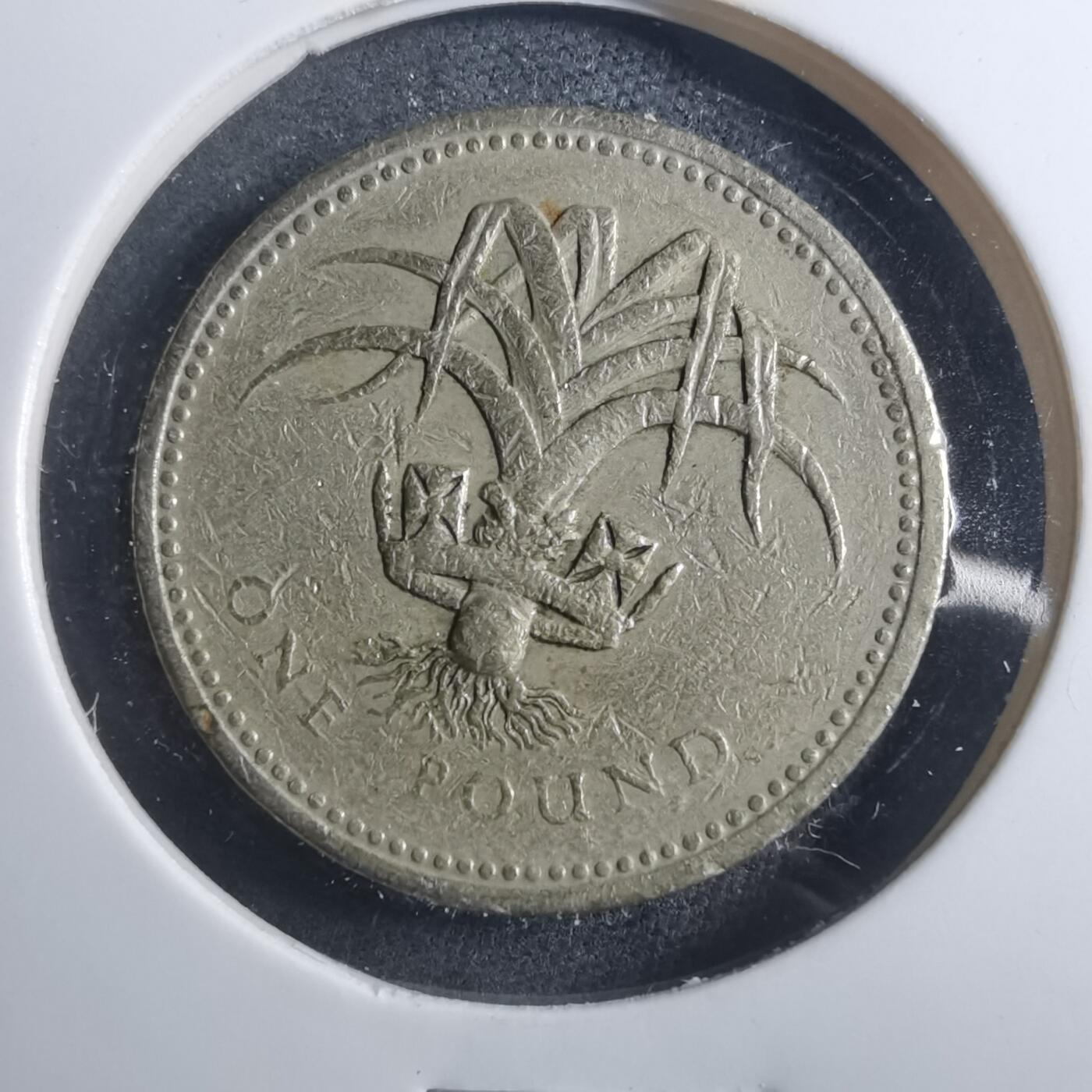 沼泽如烟--第893场 英国1990年一磅